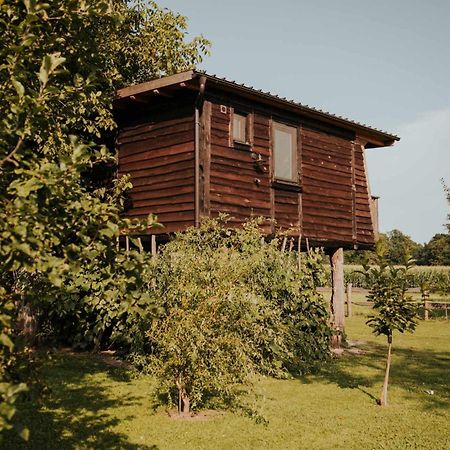 Treehouse Drevesna Hiska Strkovo Gnezdo Ranc Jures Ljutomer Exterior foto