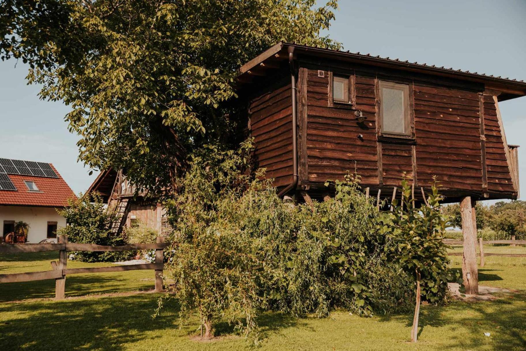 Treehouse Drevesna Hiska Strkovo Gnezdo Ranc Jures Ljutomer Exterior foto