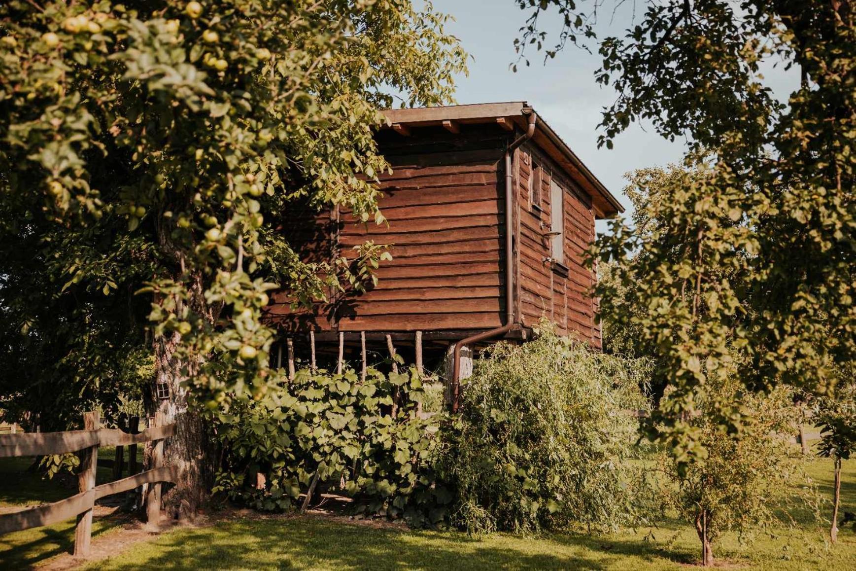 Treehouse Drevesna Hiska Strkovo Gnezdo Ranc Jures Ljutomer Exterior foto